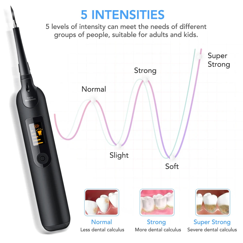 Electric Sonic Scaler Dental Cleaner