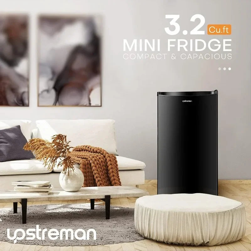 Mini Fridge with Freezer
