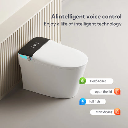 Voice Control, Portable toilet with bidet built in