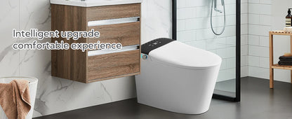 Voice Control, Portable toilet with bidet built in
