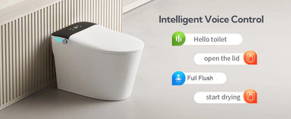 Voice Control, Portable toilet with bidet built in