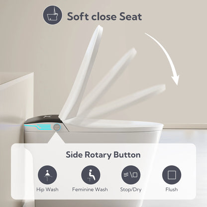 Voice Control, Portable toilet with bidet built in