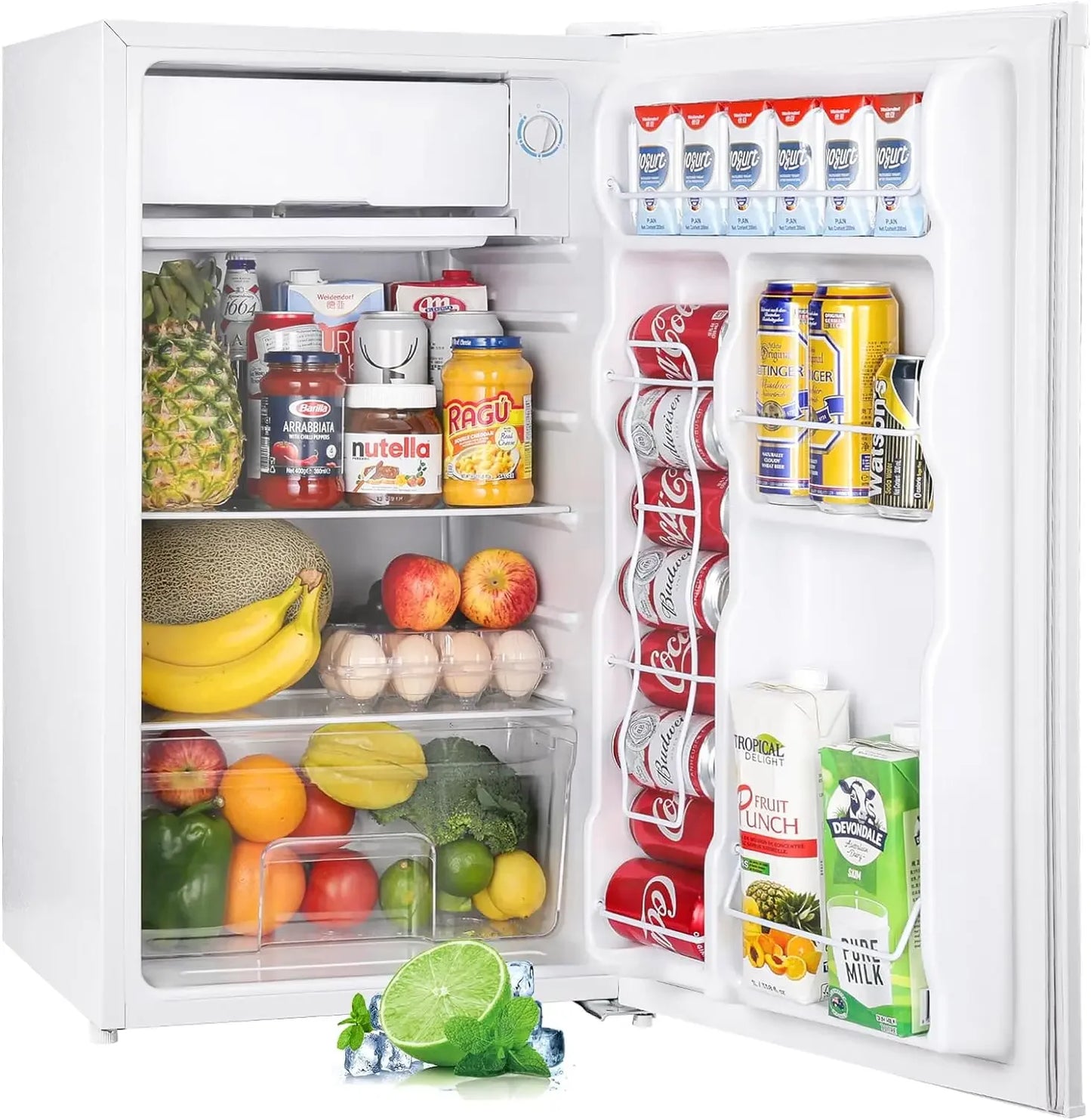 Mini Fridge with Freezer