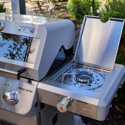 Outdoor Propane Gas Grill